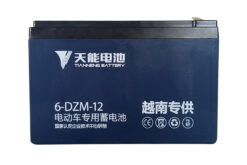 ắc quy thiên năng tianneng 6-DZM-12