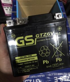 ac quy gs gtz6v
