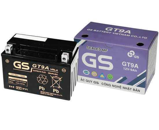 Ac Quy Xe May Gs Gt9A