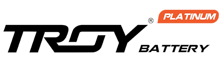 logo ac quy troy removebg preview